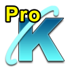 ProK_BlueK_Icon